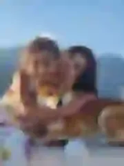 Dogsmith kennel. Shiba Inu puppies